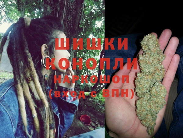 прущие грибы Баксан