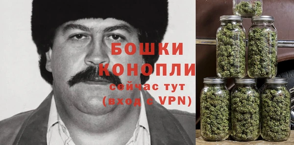 твердый Аркадак