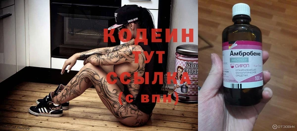 твердый Аркадак