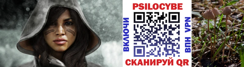 цены наркотик  Вилючинск  Галлюциногенные грибы Psilocybe 